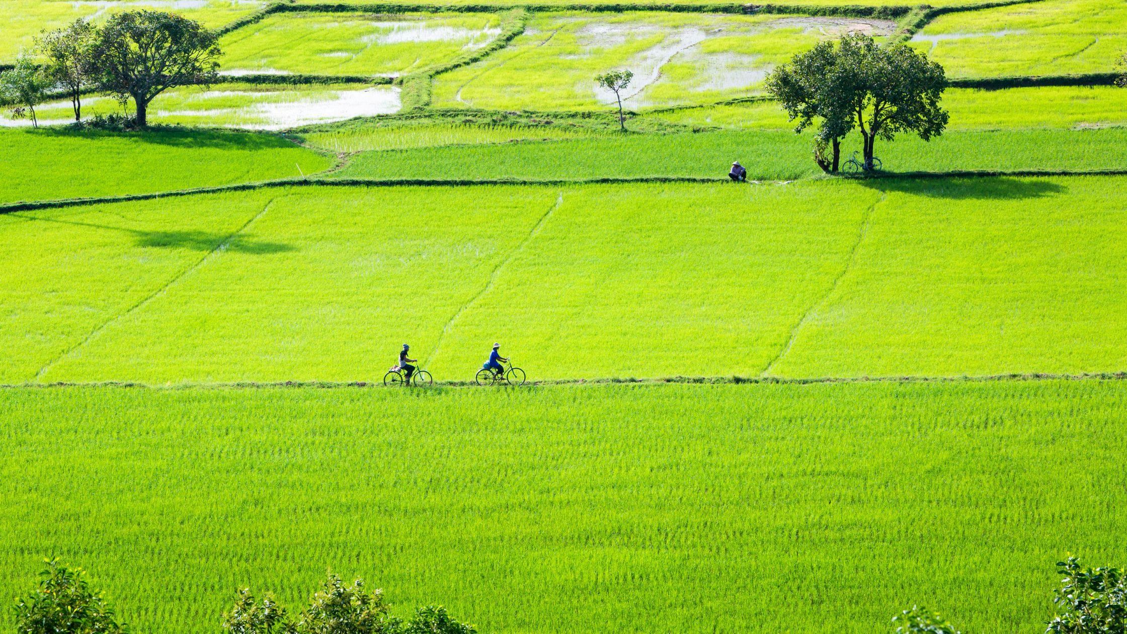 An Giang Province – Vietnam’s Colourful Countryside
